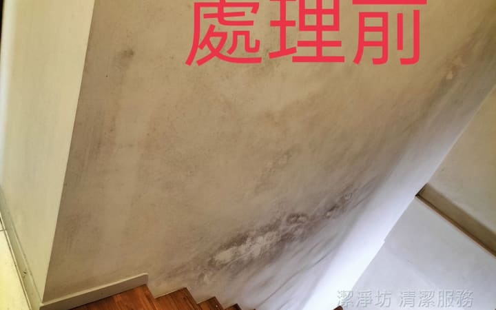 特殊清潔 除霉案場縮圖